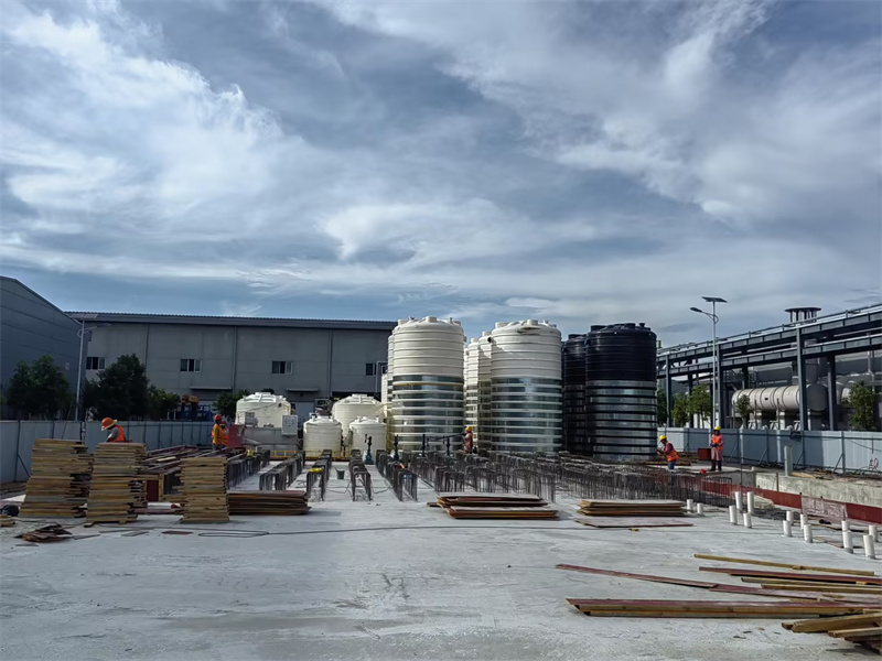 1695293485567042.jpg 02.jpg