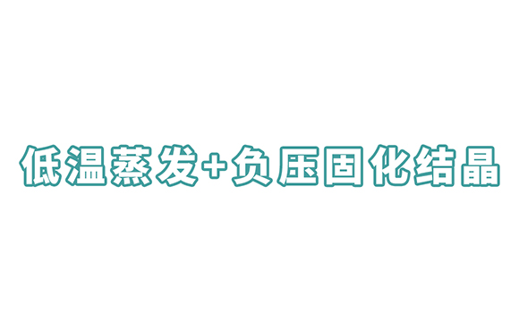 低溫蒸發+負壓固化結晶